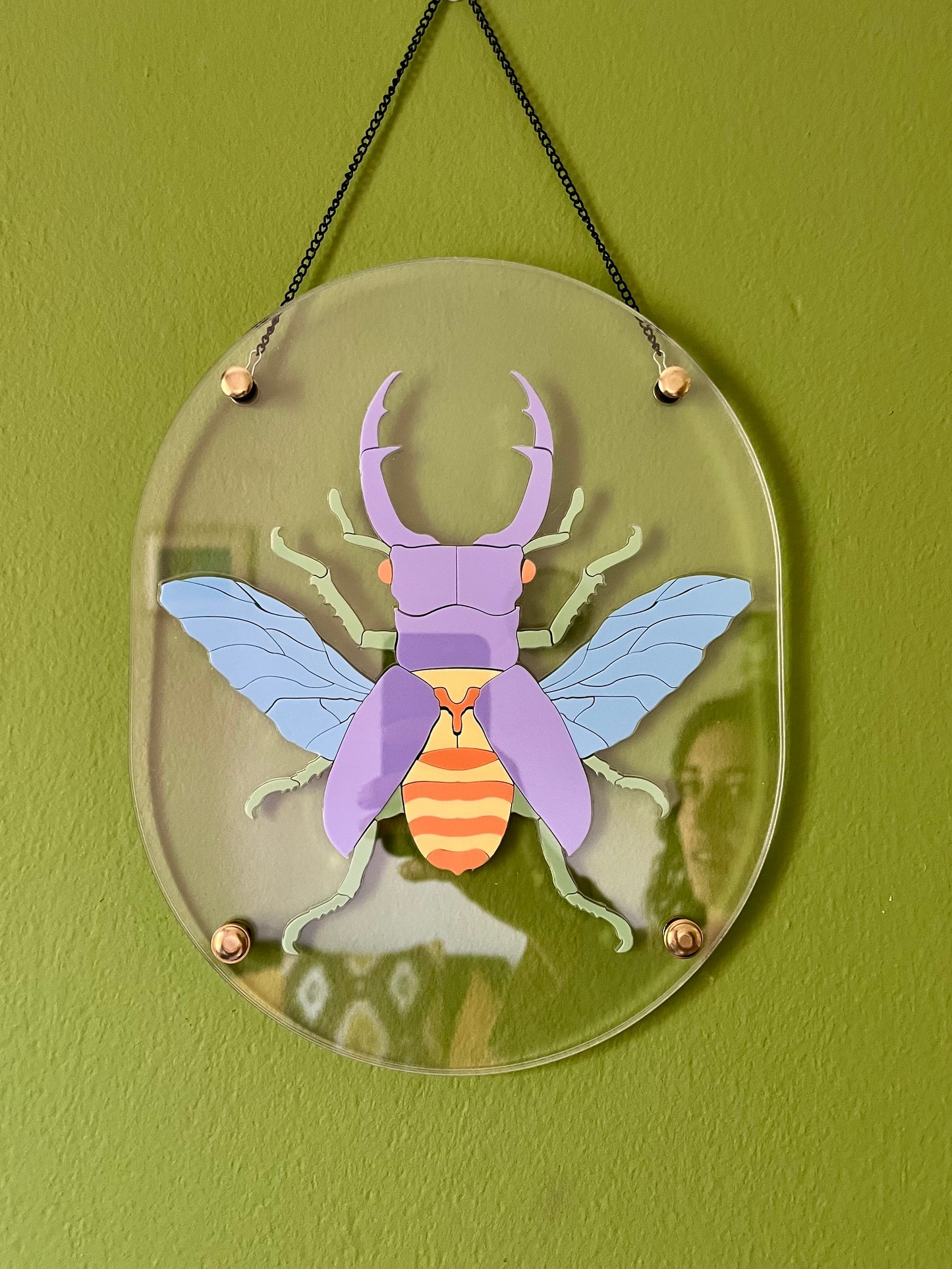Pastel Beetle Puzzle