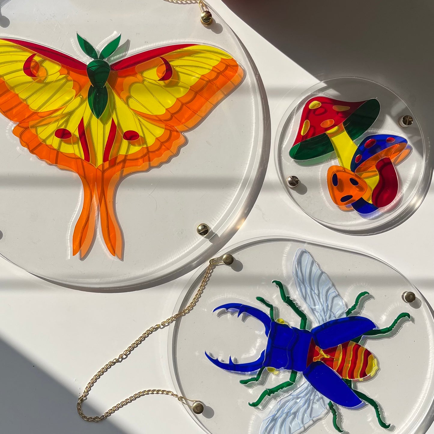 Translucent Butterfly Puzzle