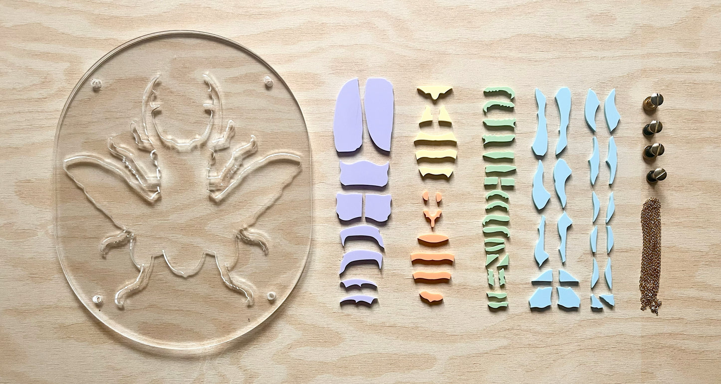 Pastel Beetle Puzzle