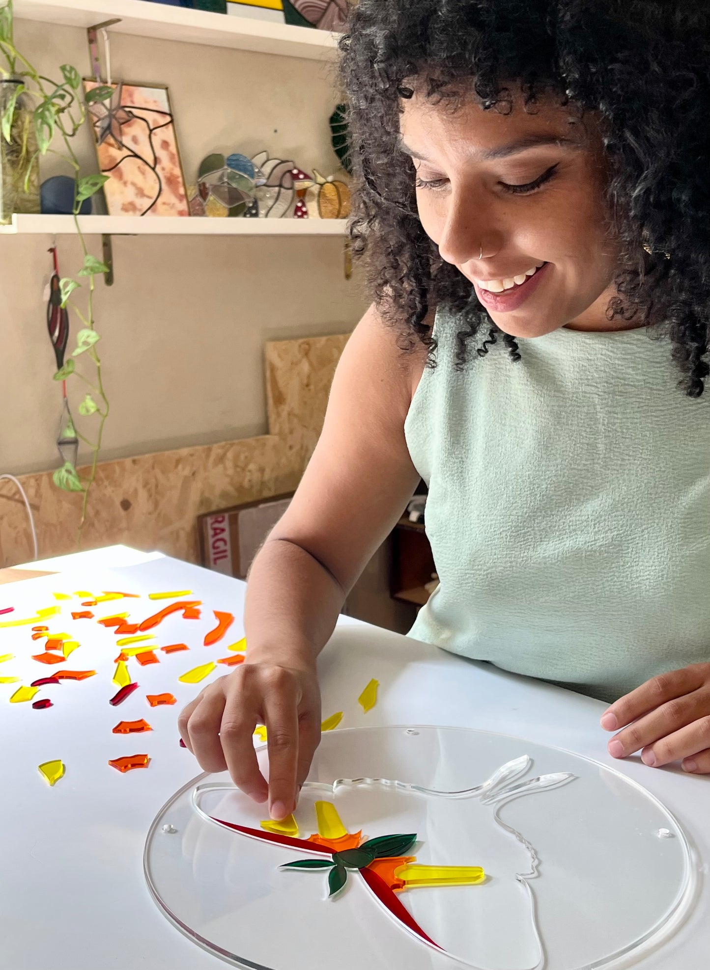 Translucent Butterfly Puzzle