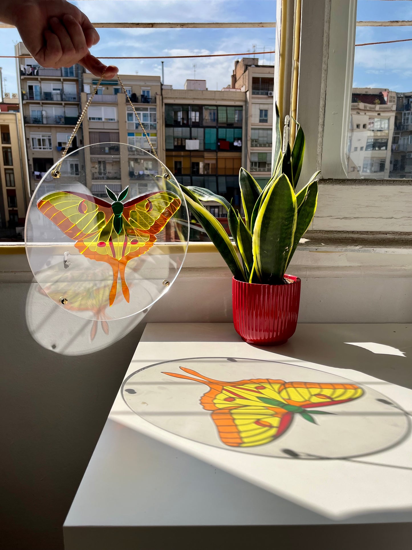 Translucent Butterfly Puzzle