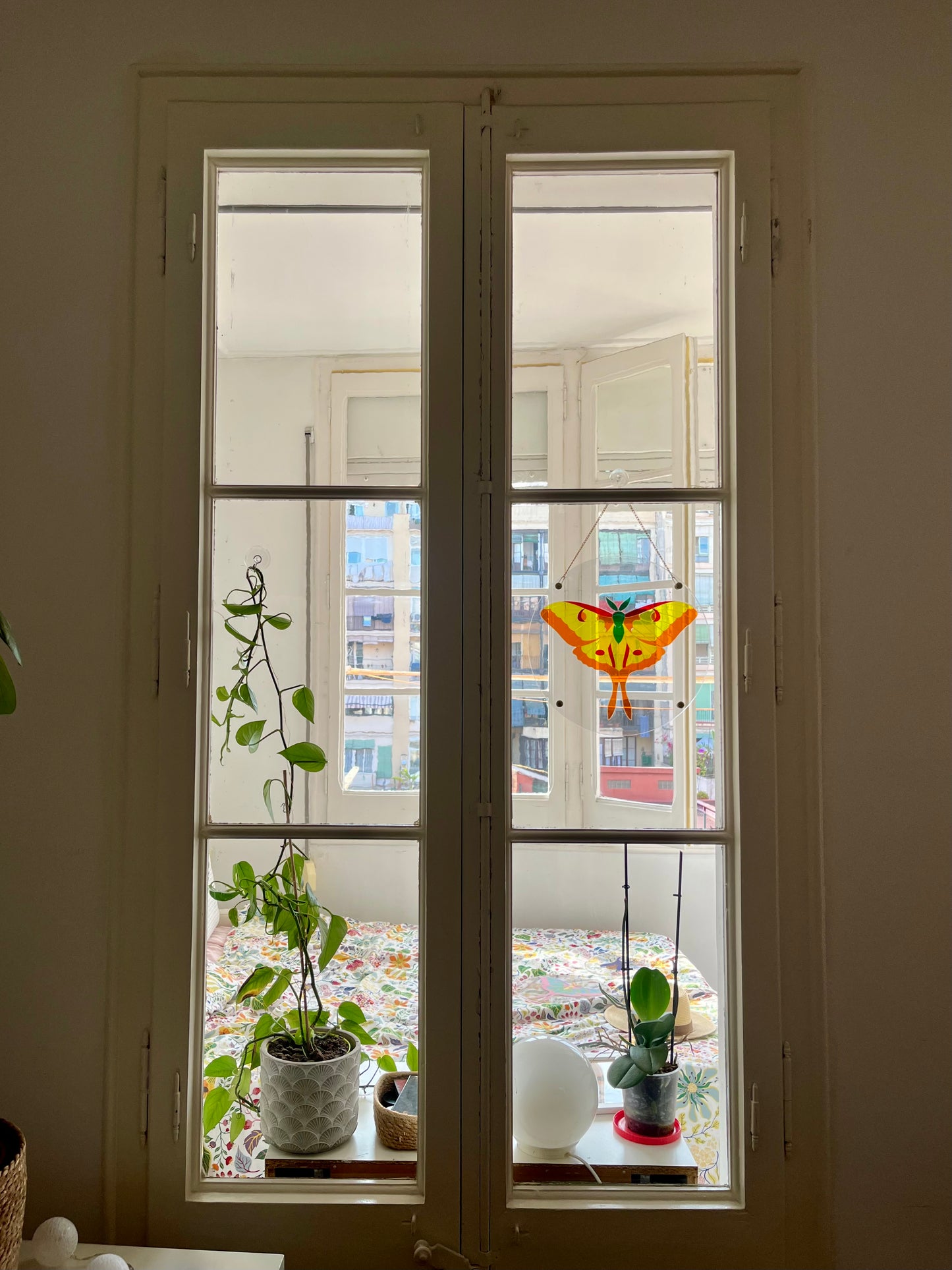 Translucent Butterfly Puzzle