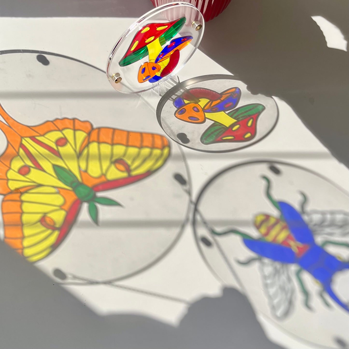 Translucent Butterfly Puzzle