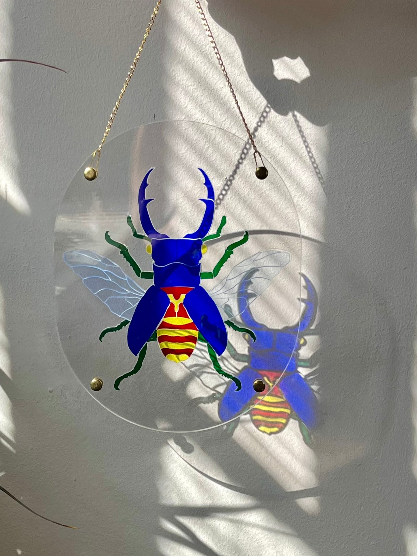 Translucent Beetle Puzzle