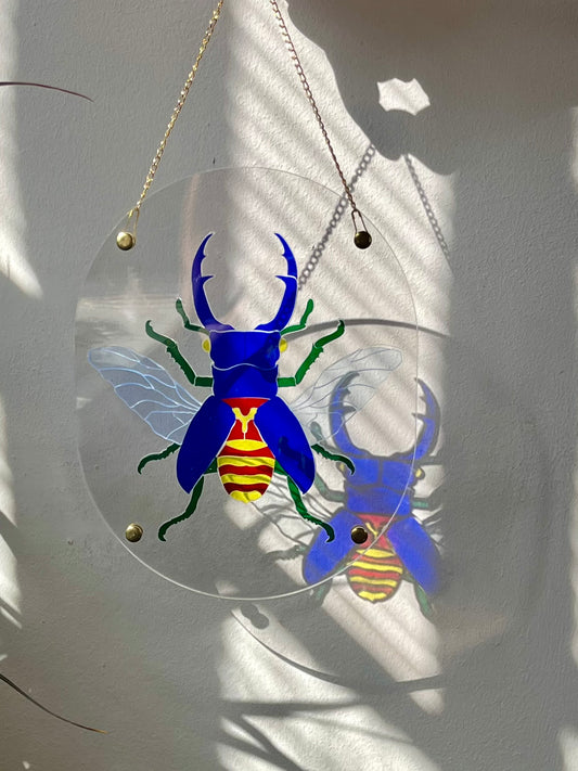 Translucent Beetle Puzzle