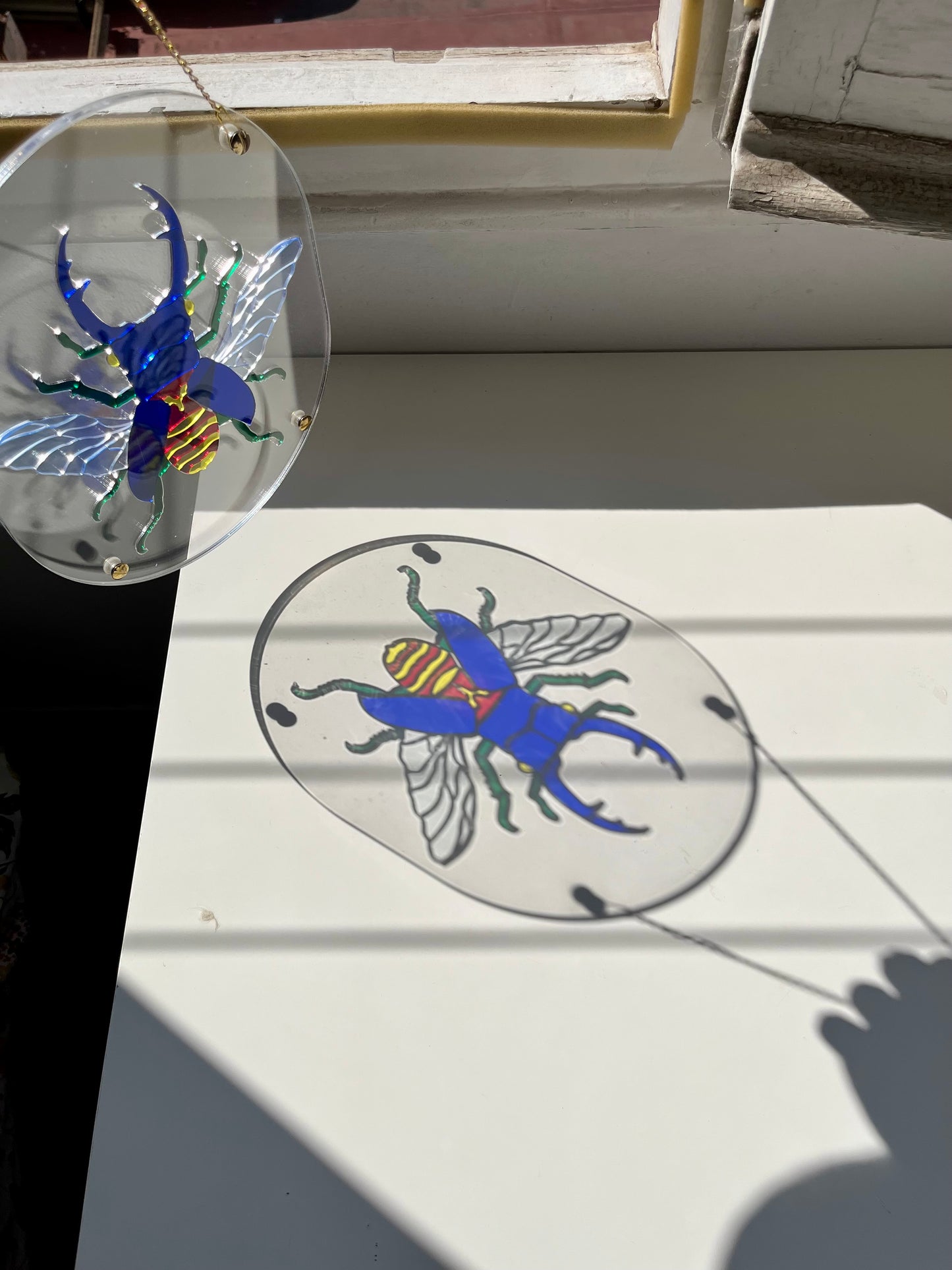 Translucent Beetle Puzzle