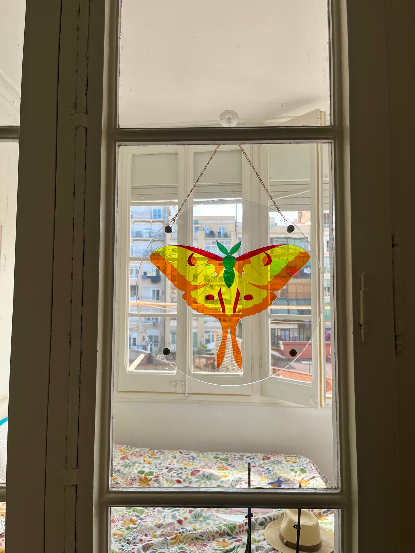 Translucent Butterfly Puzzle