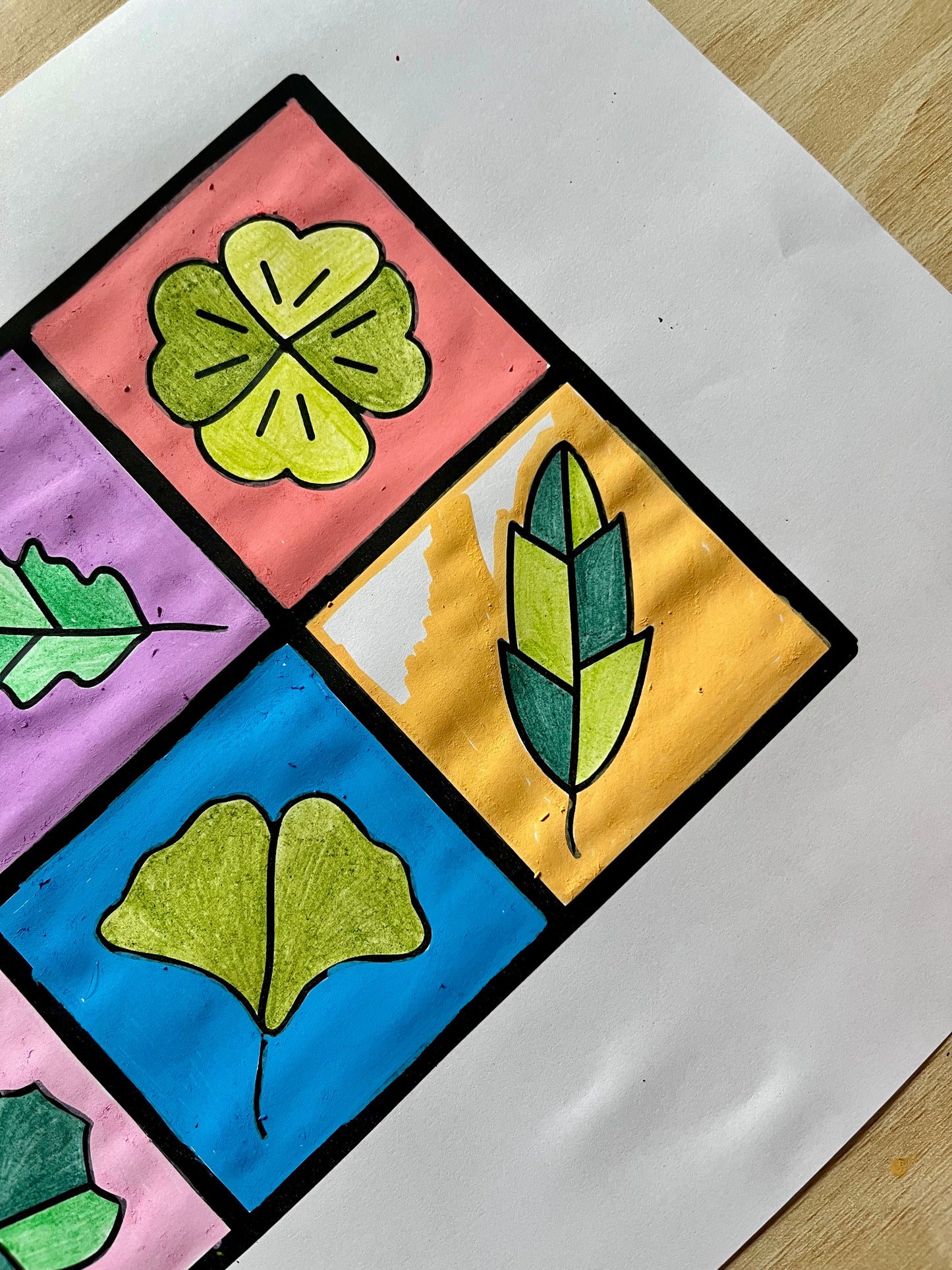 SunShapes Supporter Colouring Book