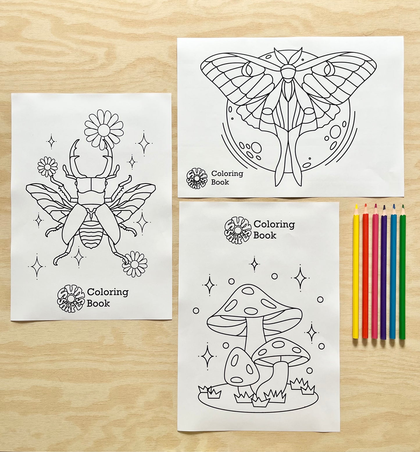 SunShapes Supporter Colouring Book