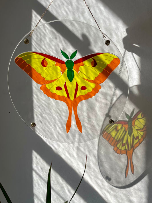 Translucent Butterfly Puzzle