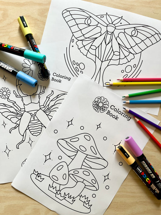 SunShapes Supporter Colouring Book