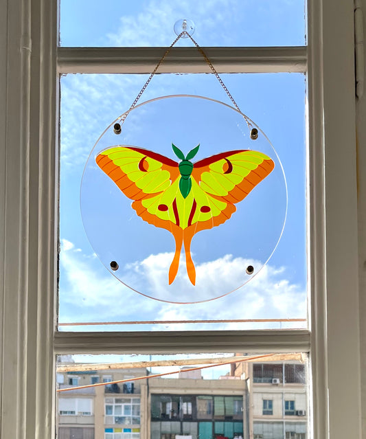 Translucent Butterfly Puzzle