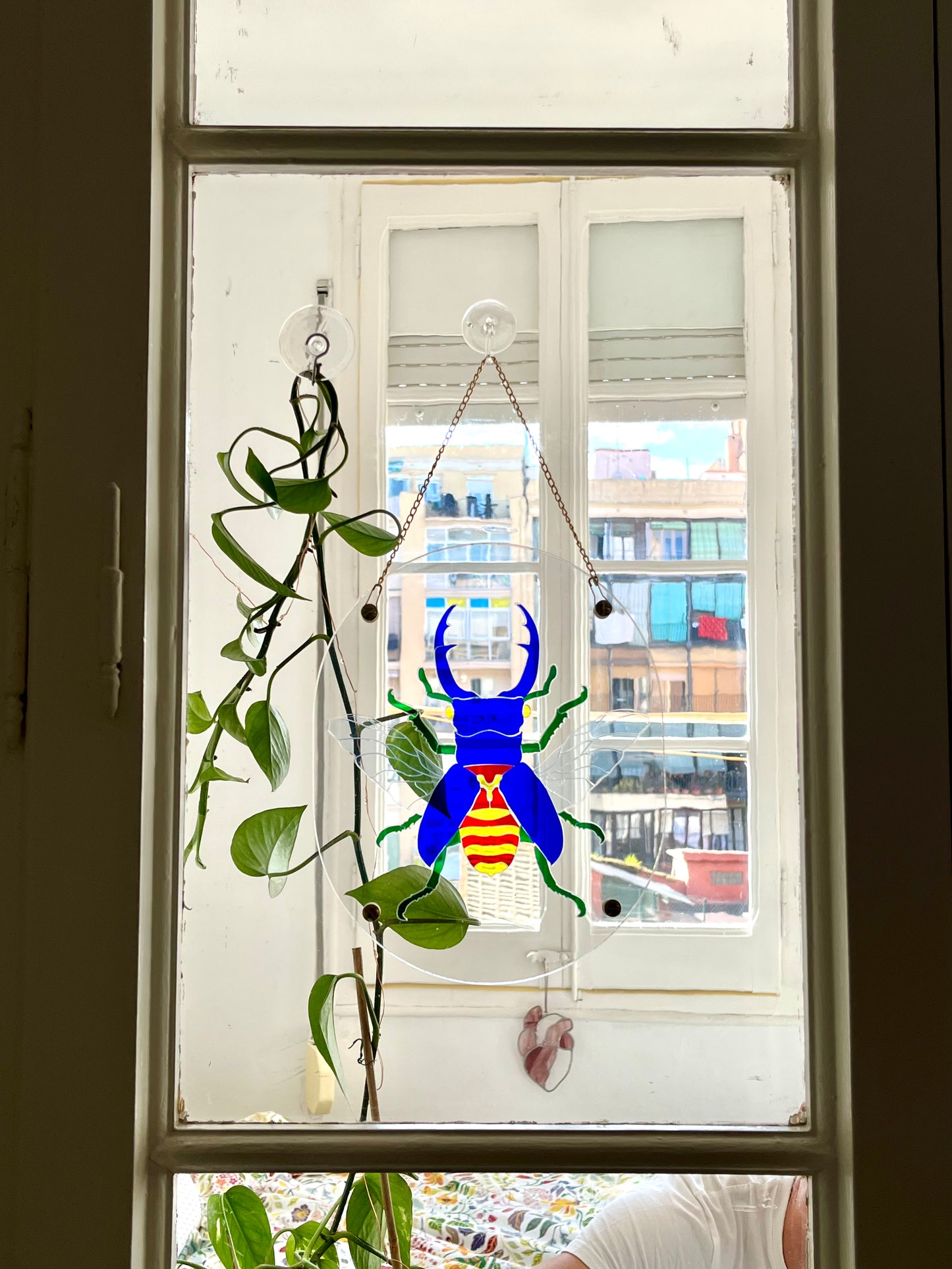 Translucent Beetle Puzzle