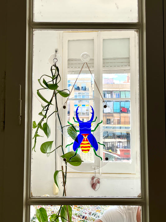 Translucent Beetle Puzzle